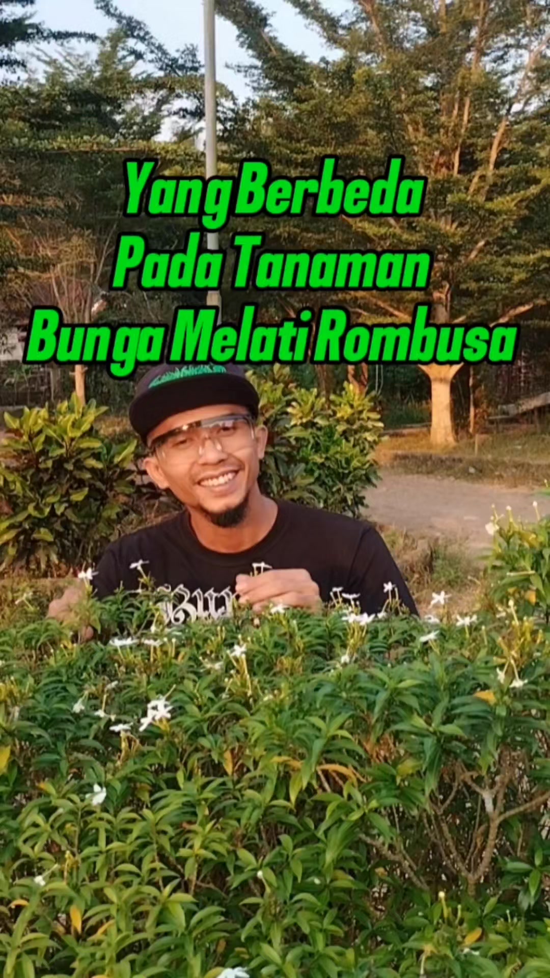 @Bukit Farming