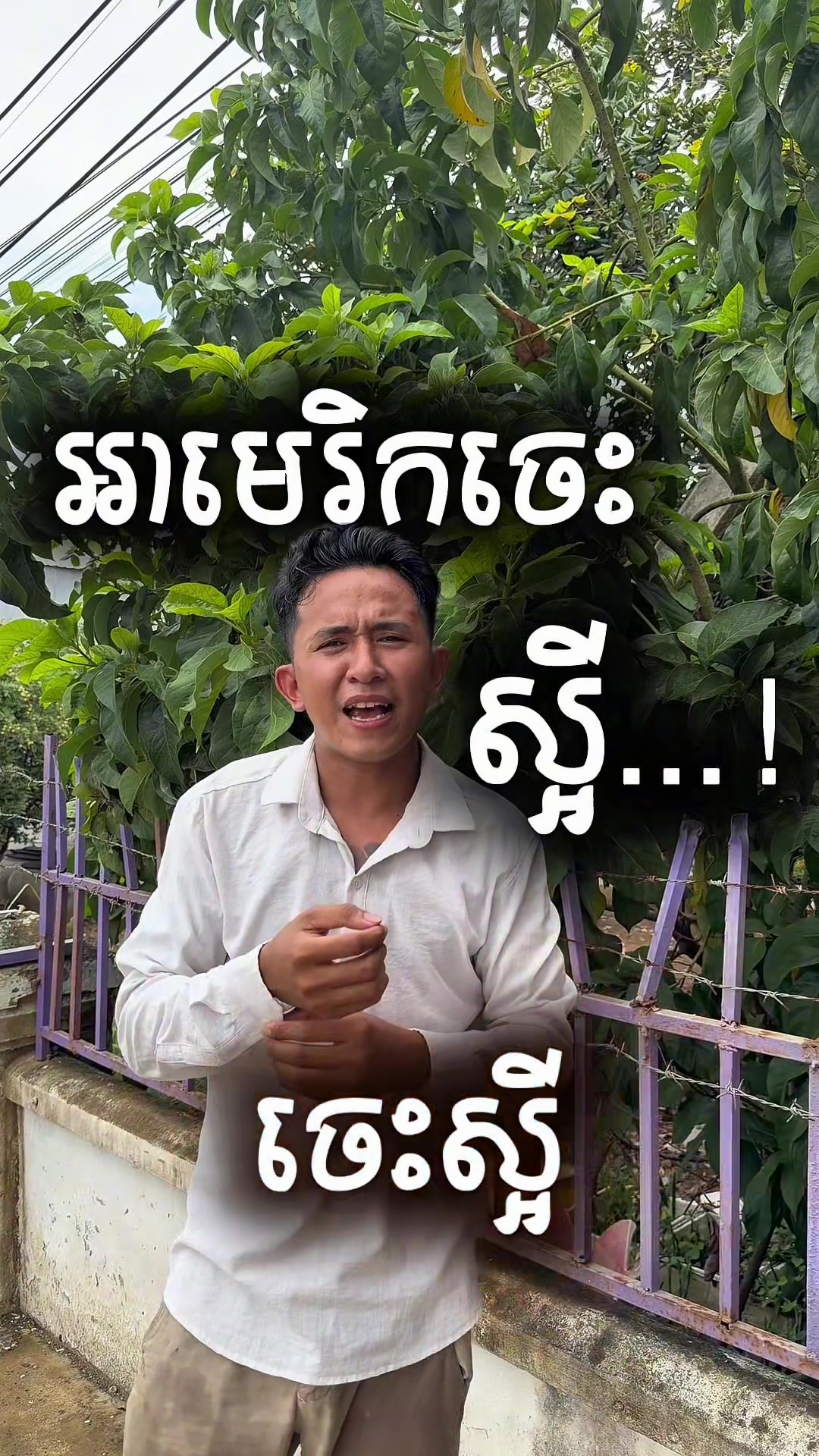 @BOLMELODY-បុលមីឡូឌី🐉