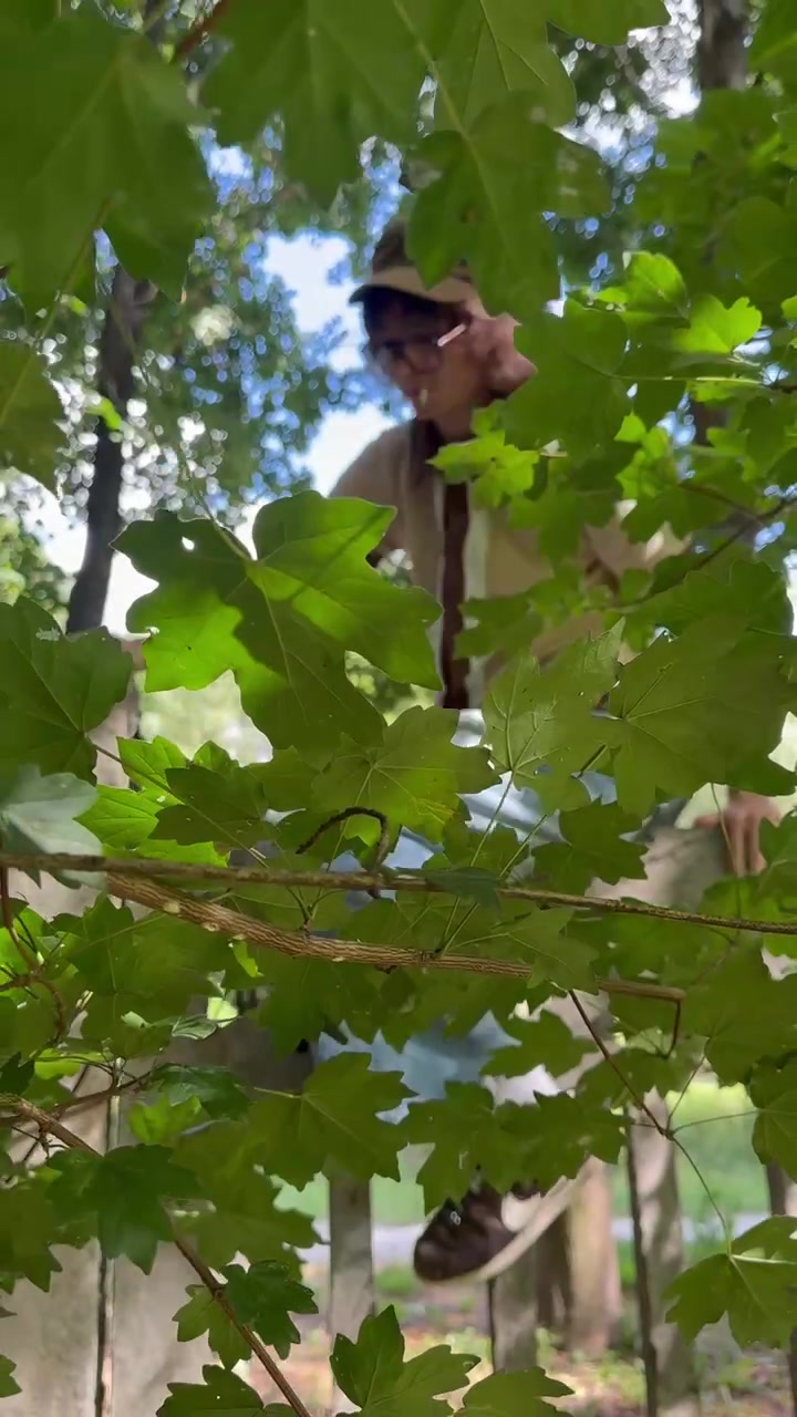 @хіромі