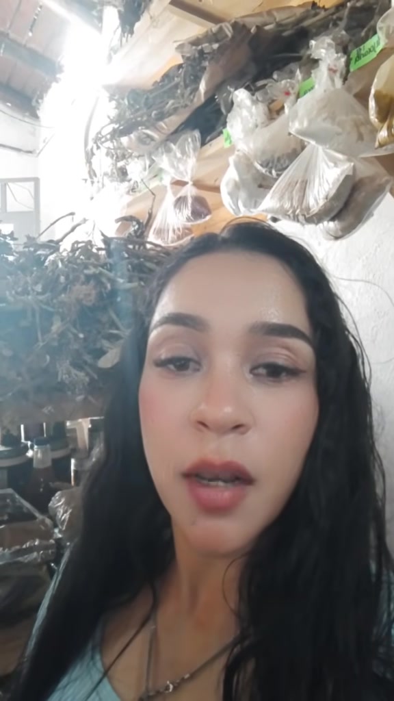 @vanessa plantas