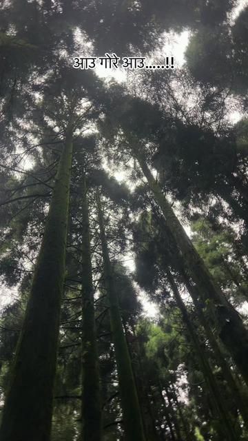 @Rupa Thakuri