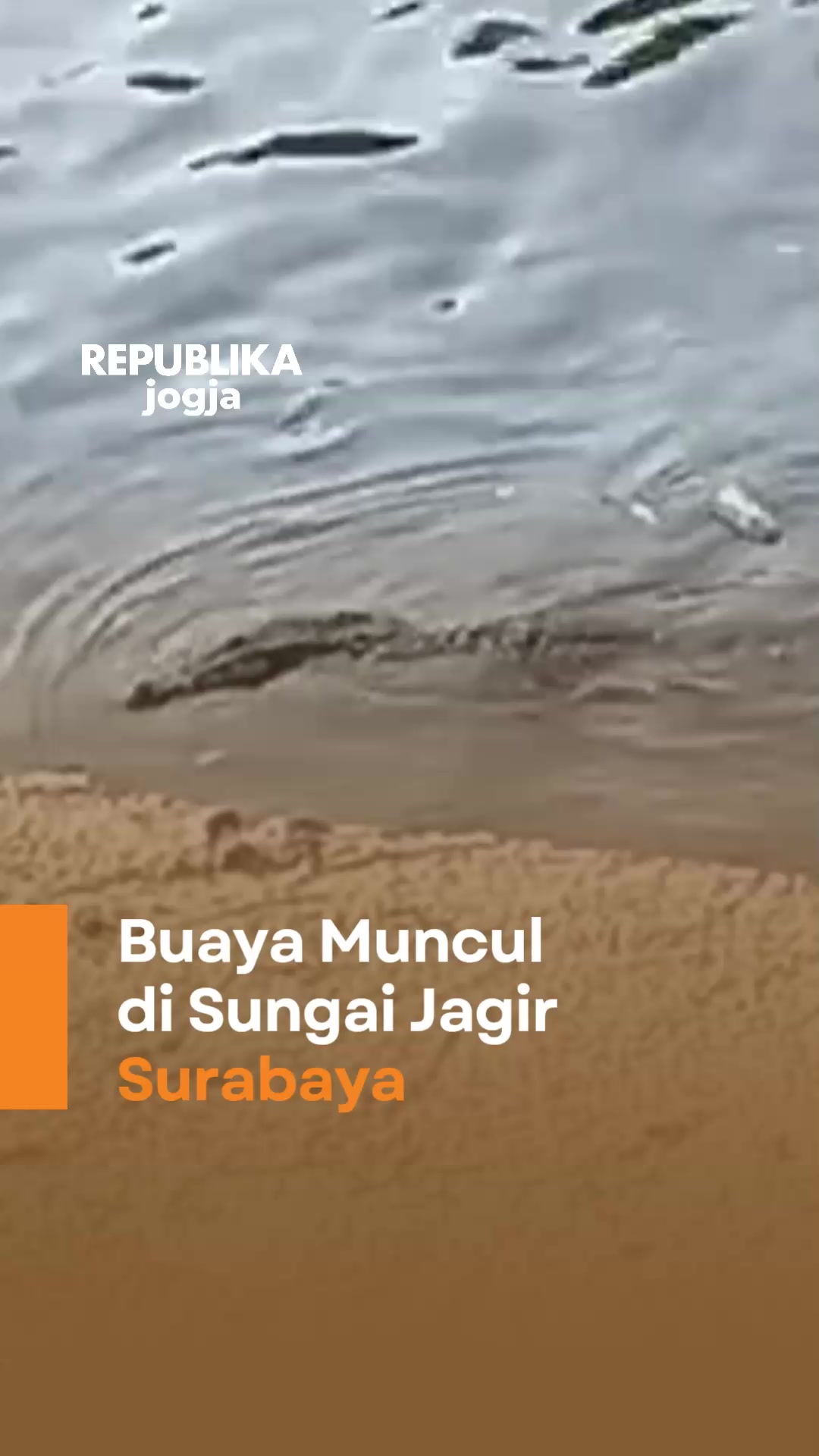 @Republika Jogja