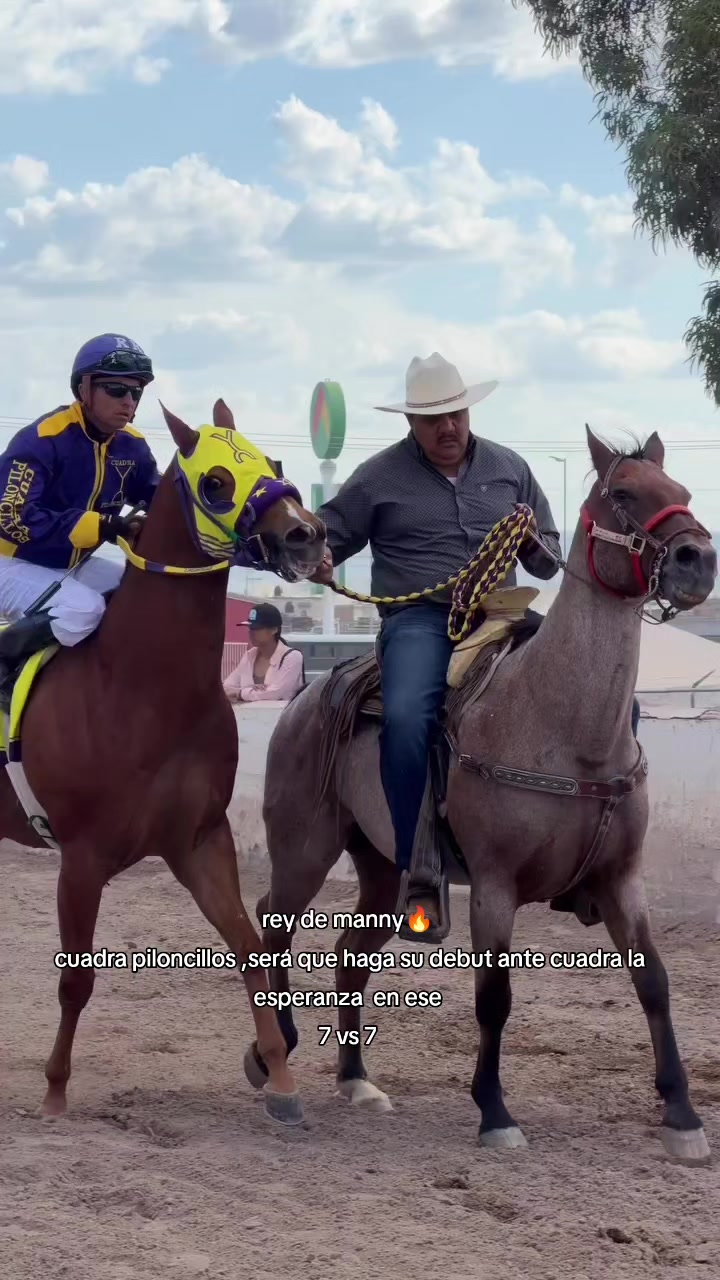 @carriles altos de jalisco🐎