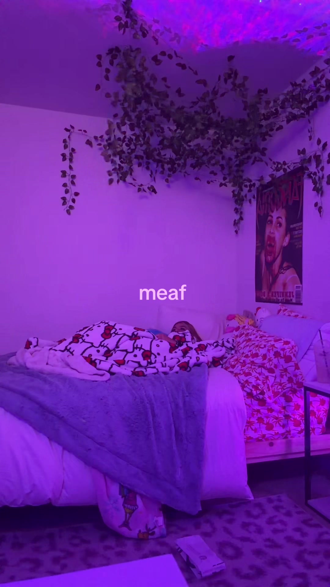 @gg🐈👀