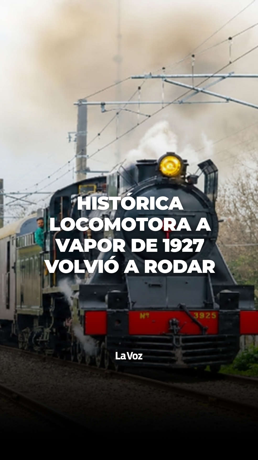 @lavozcomar