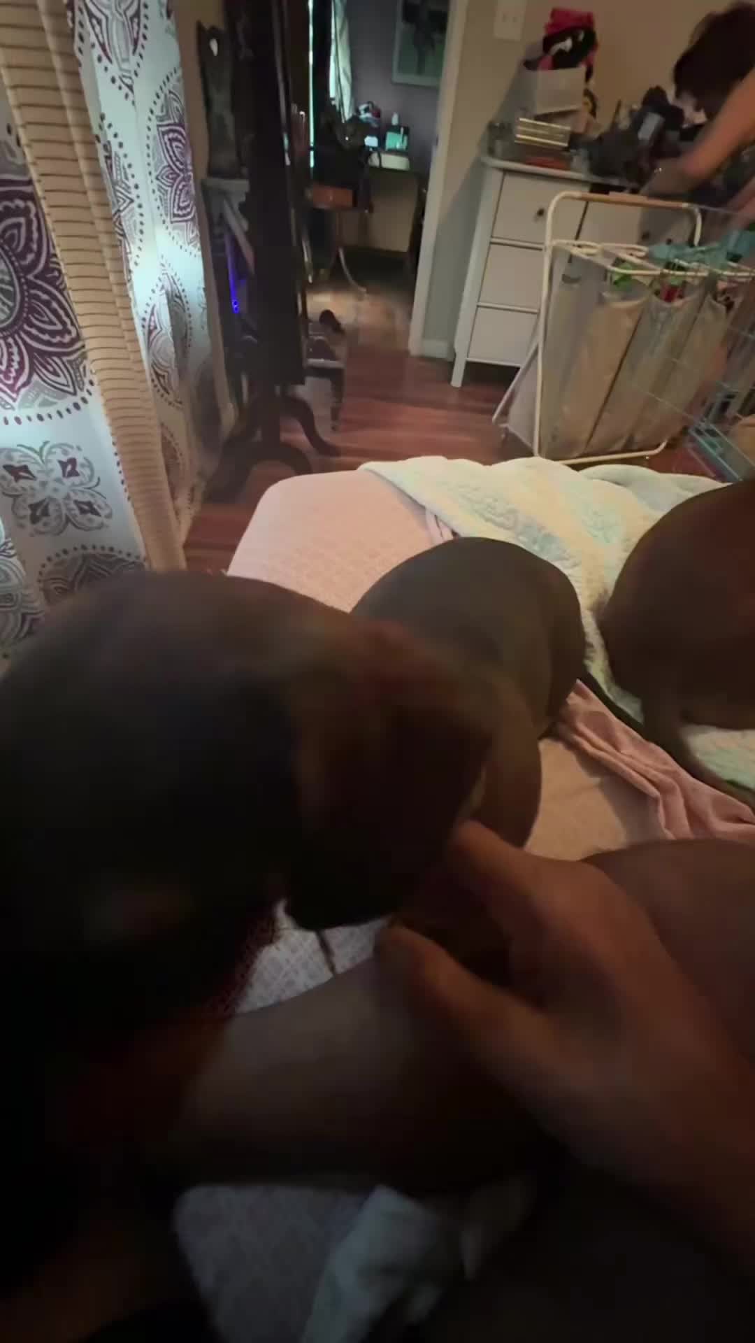 @Ozzythedoxy