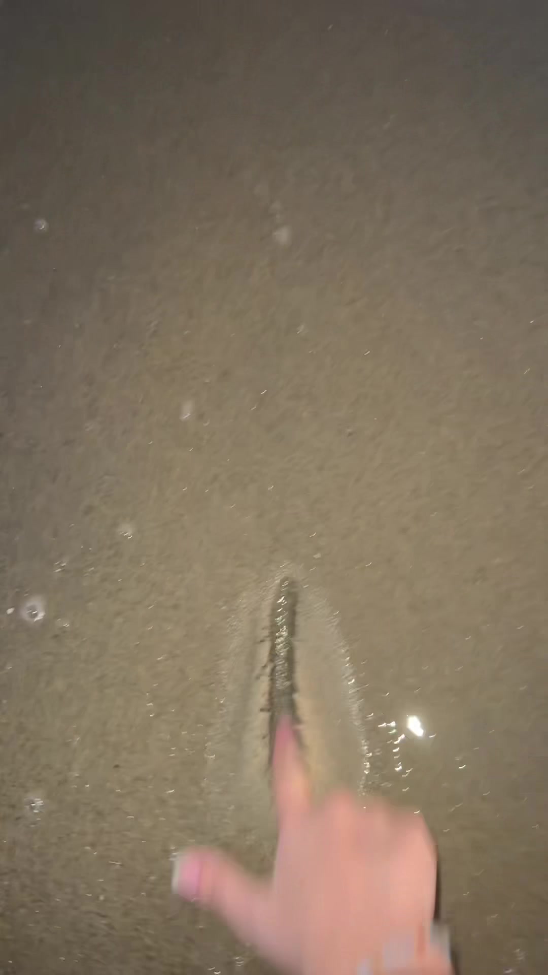 @𐔌՞𝓜 &sup1;&sup2;⁵ &sup2;⁴⁰‧₊˚ &sdot; 🐇