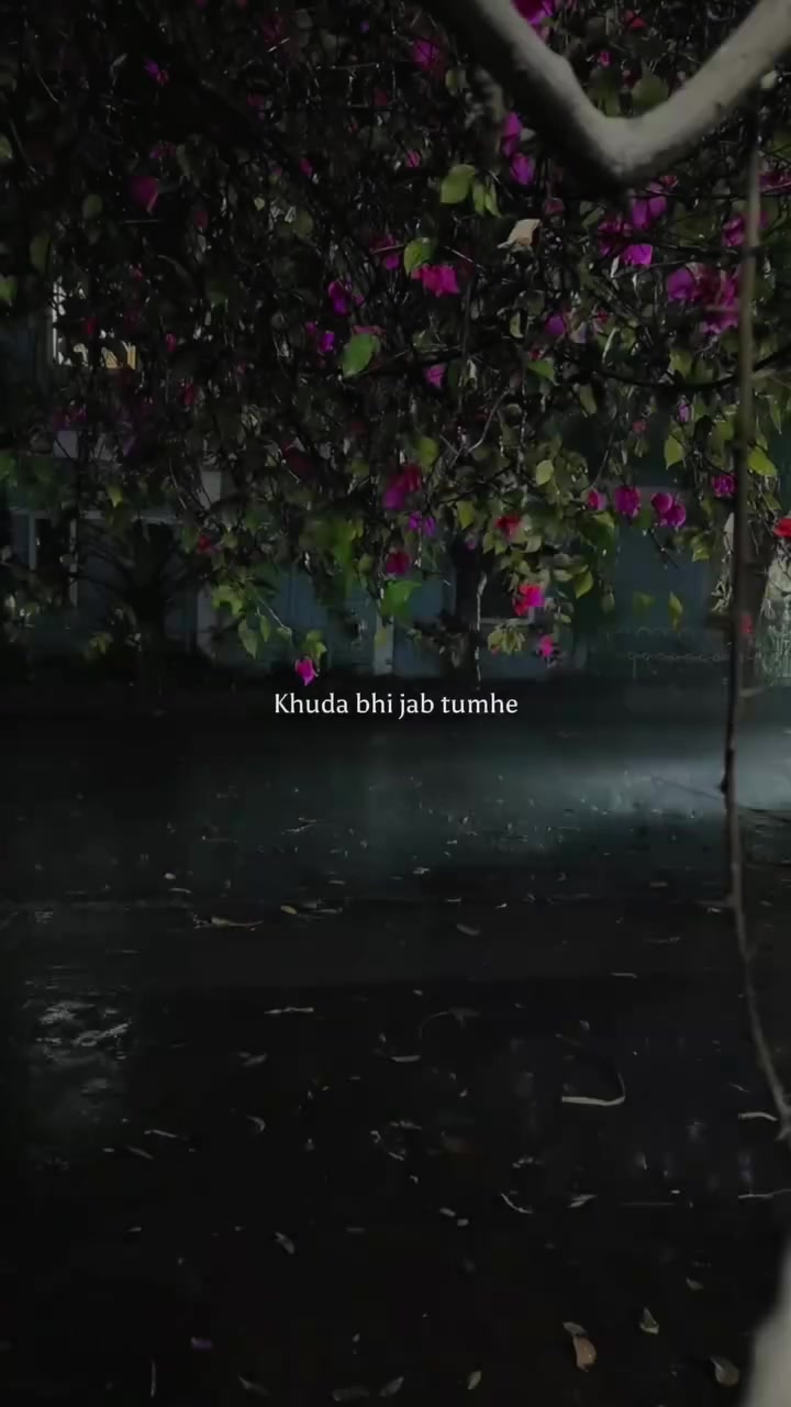 @B7F乛حسيب