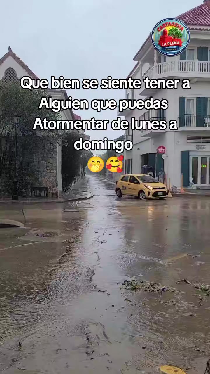 @✨️🌸Luz🌸✨️