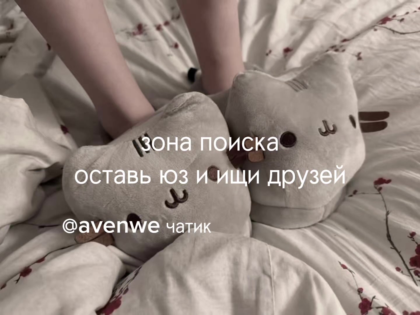 @avenew чат