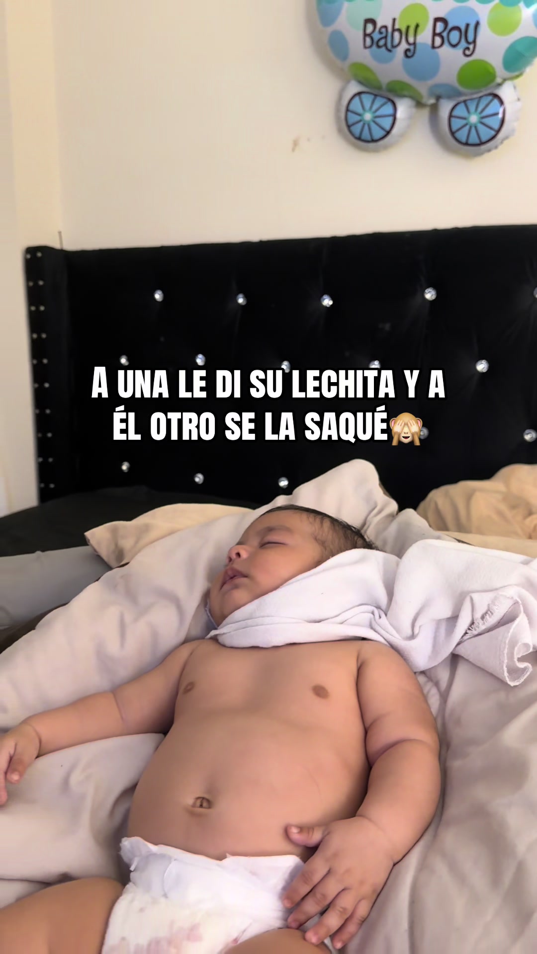 @LALAMA🍀