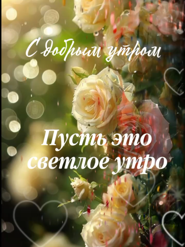 @ALEKSA