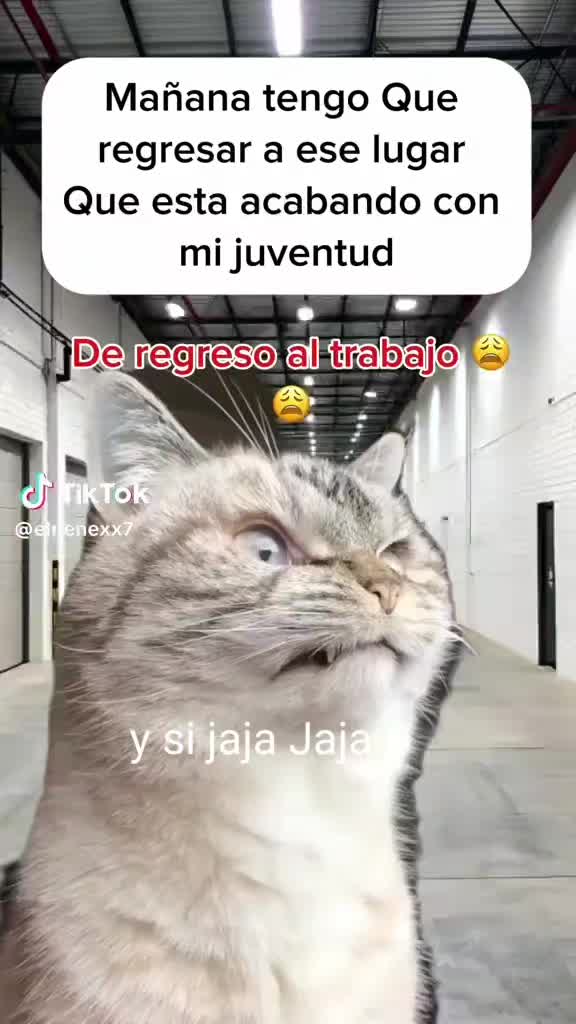 @omarolmos215 chilanguito