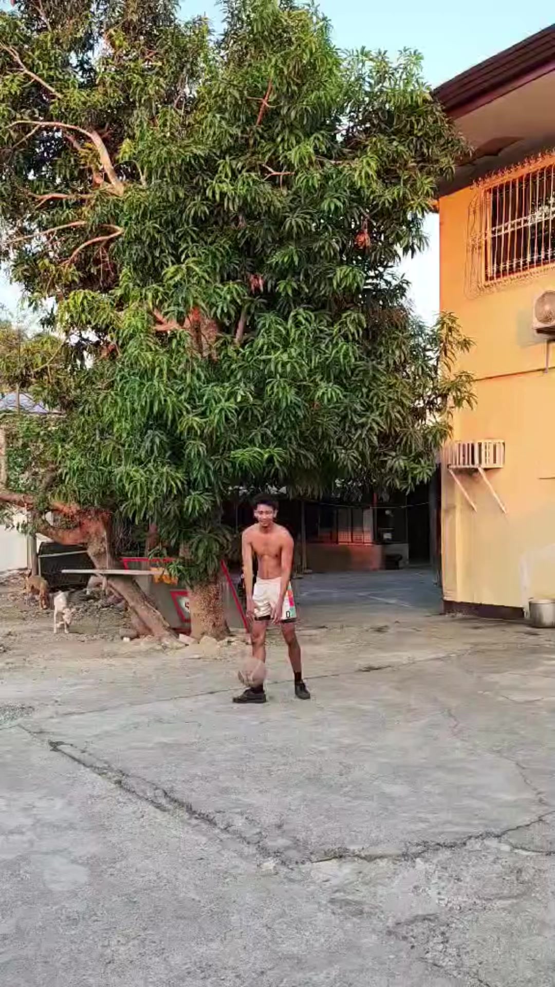 @マス01