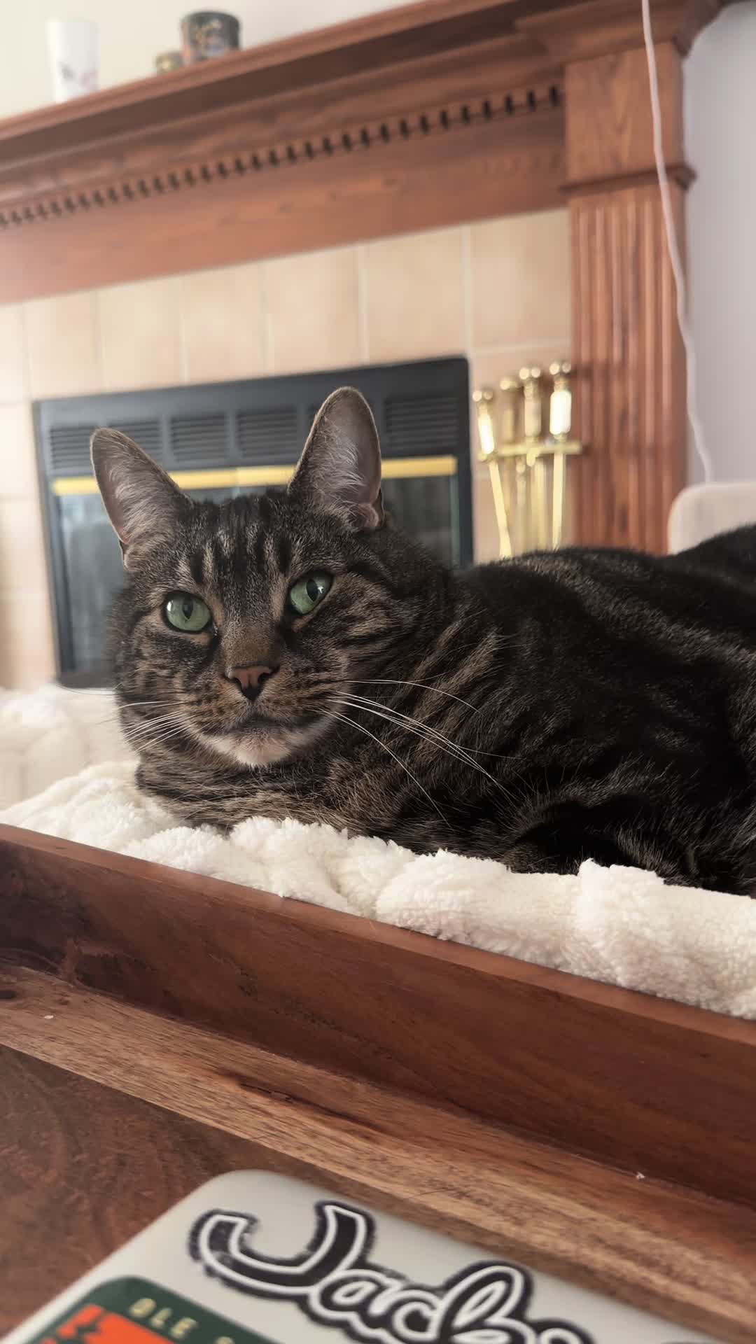 @Milo The Chonk