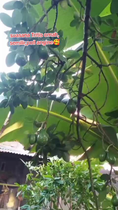 @@DN🇭🇰 ♐