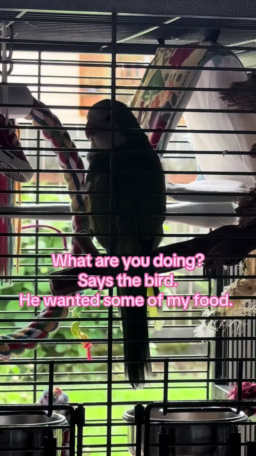@Kelli 💜🤗