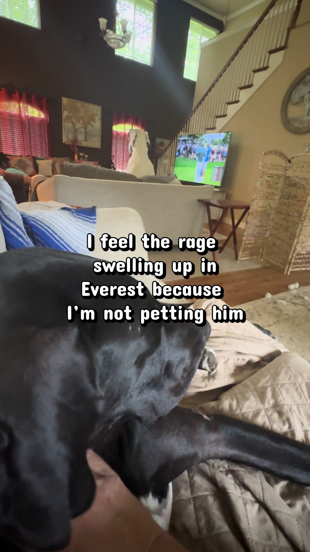 @Raising Dane