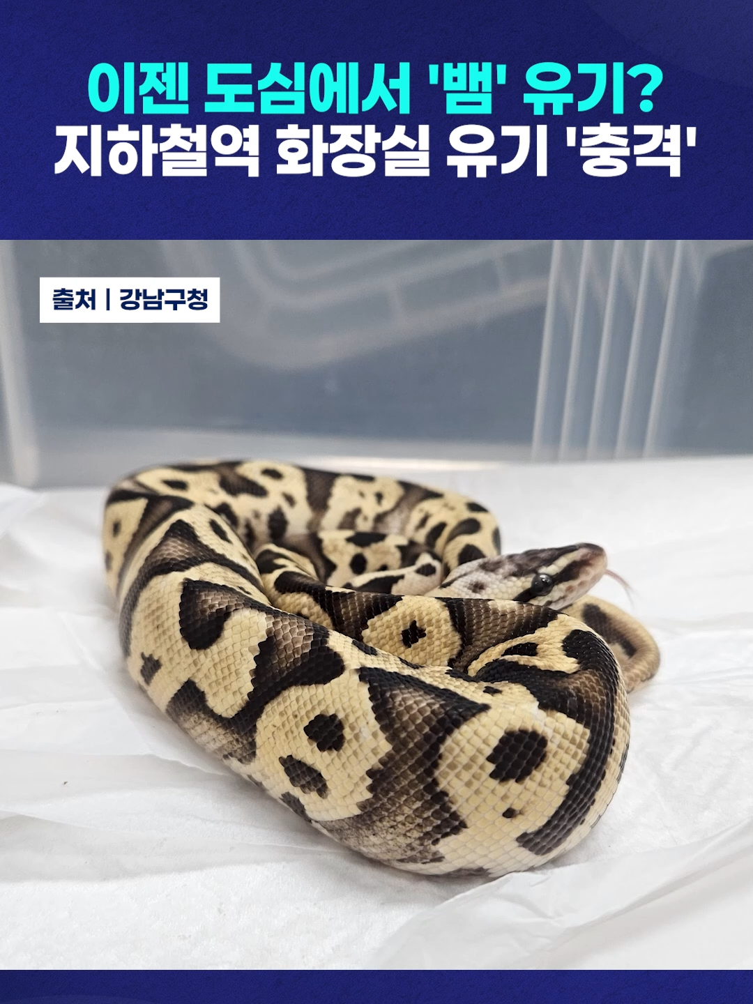 @TJB 뉴스