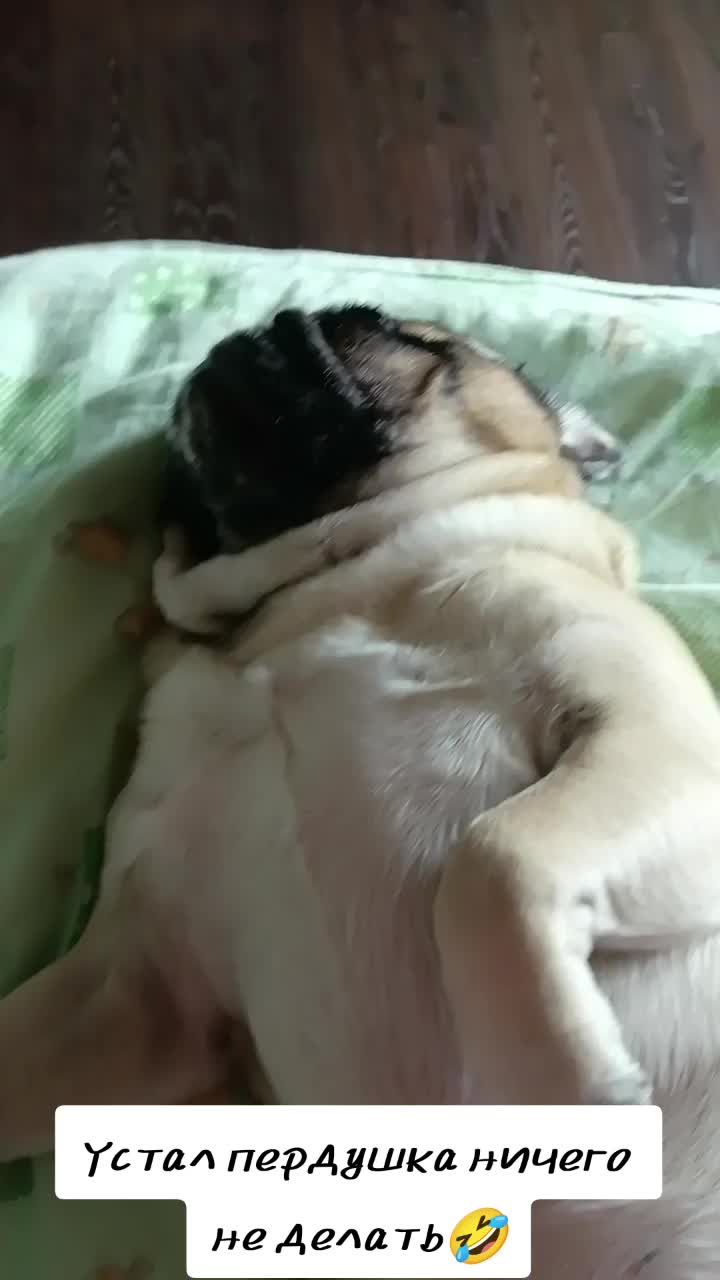 @Хуанита💃