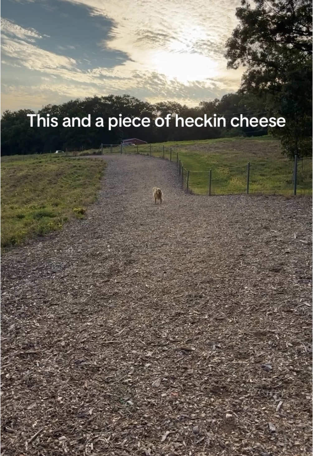 @Maverick