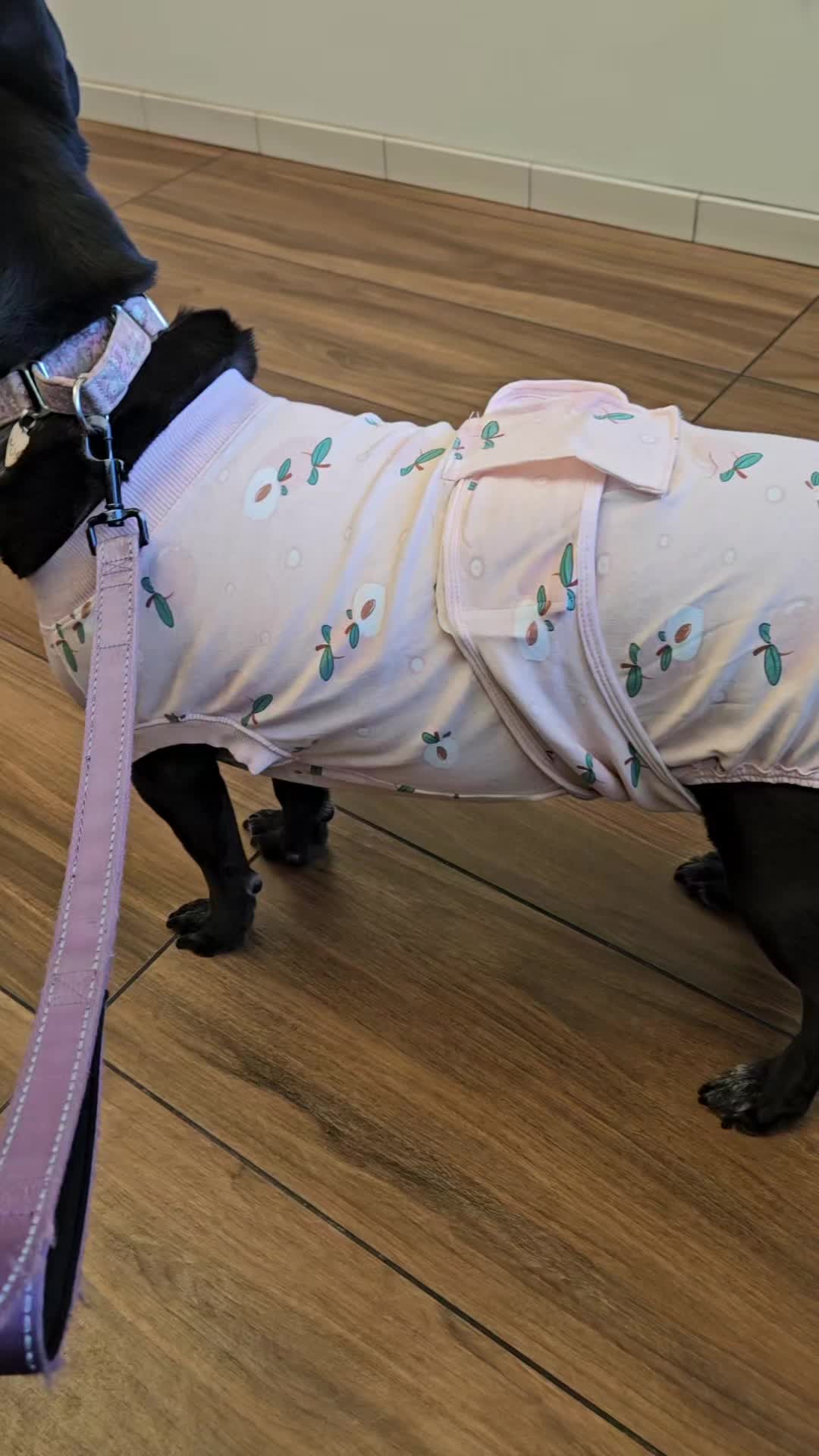 @Nidee