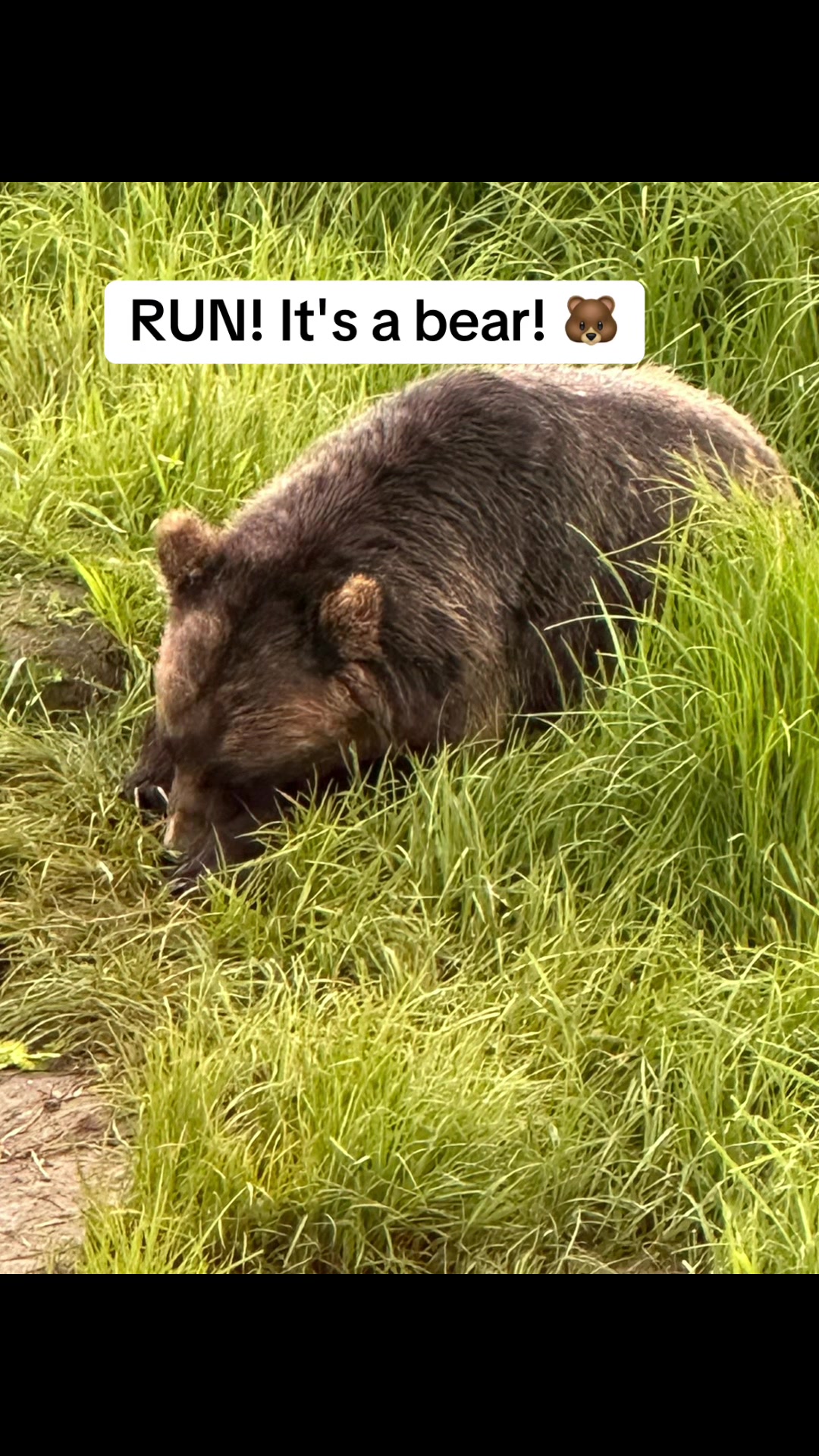 @ShadyCreekFarms
