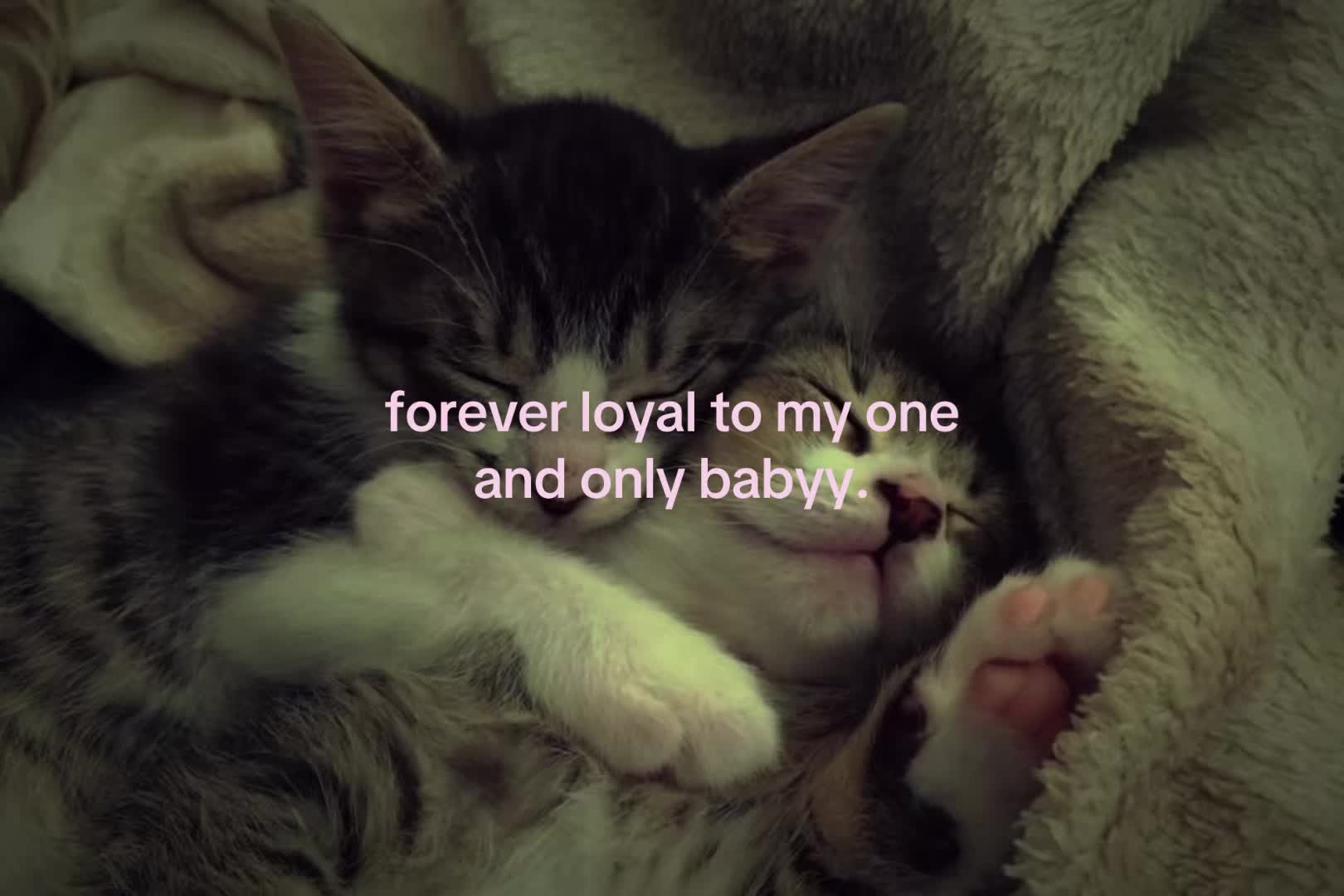 @sxalenz