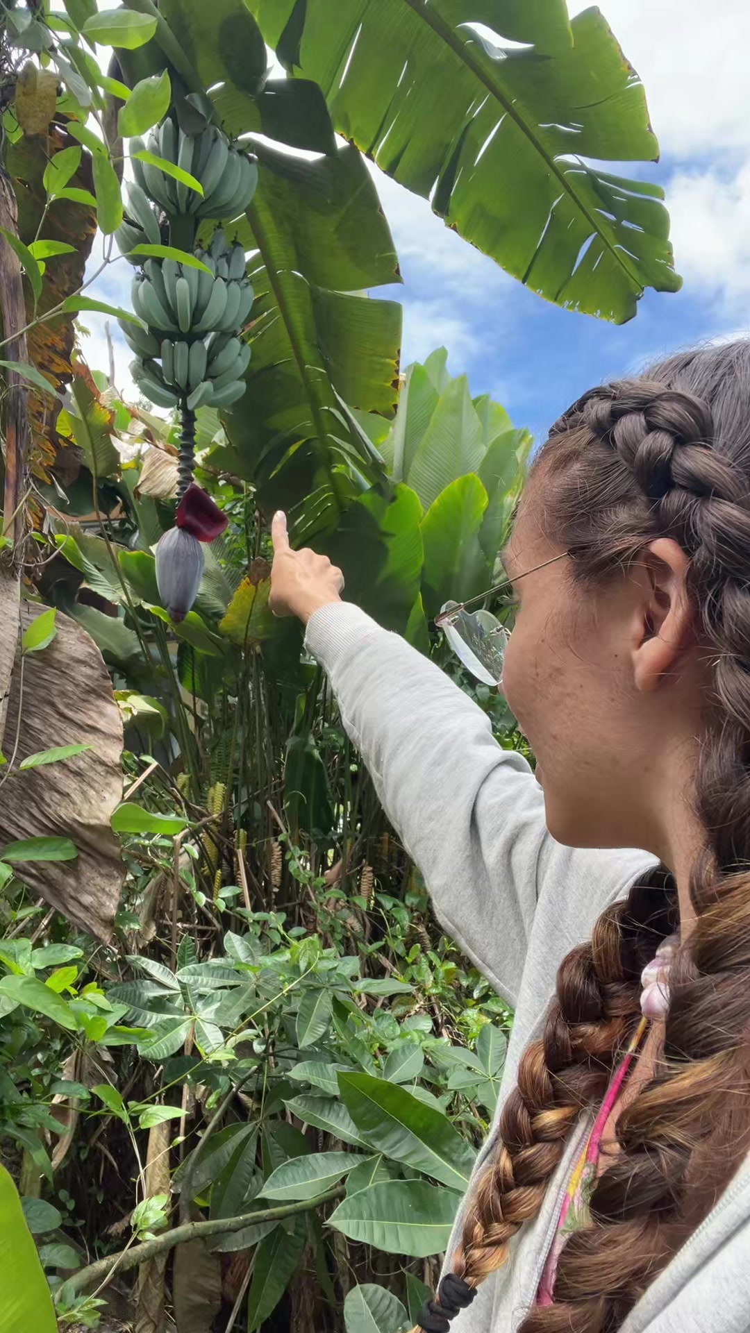 @junglefairyfarm
