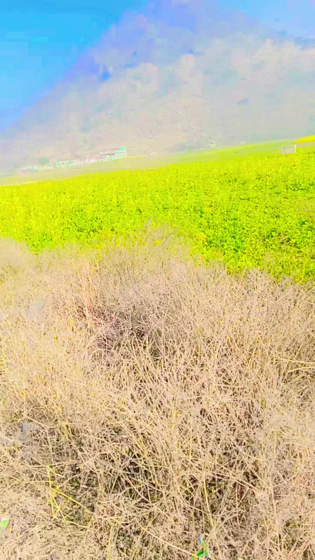 @₳Ɽ₴₳Ⱡ₳₦ ₭Ⱨ₳₦