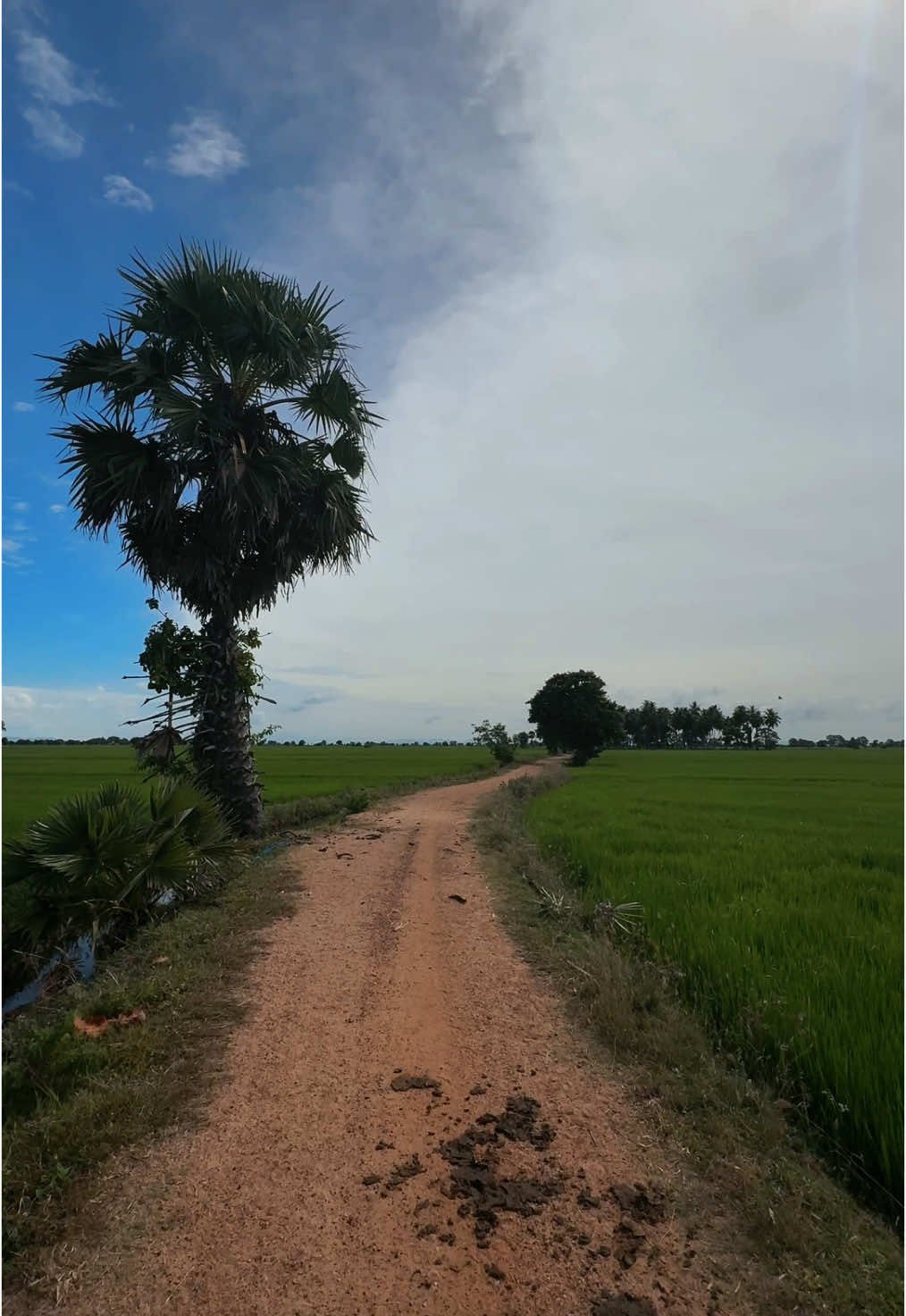 @binara thabrew