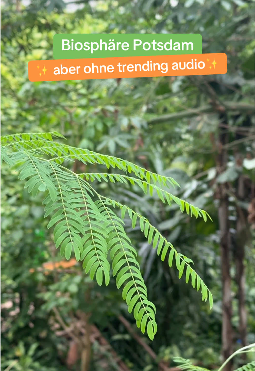 @Biosphäre Potsdam