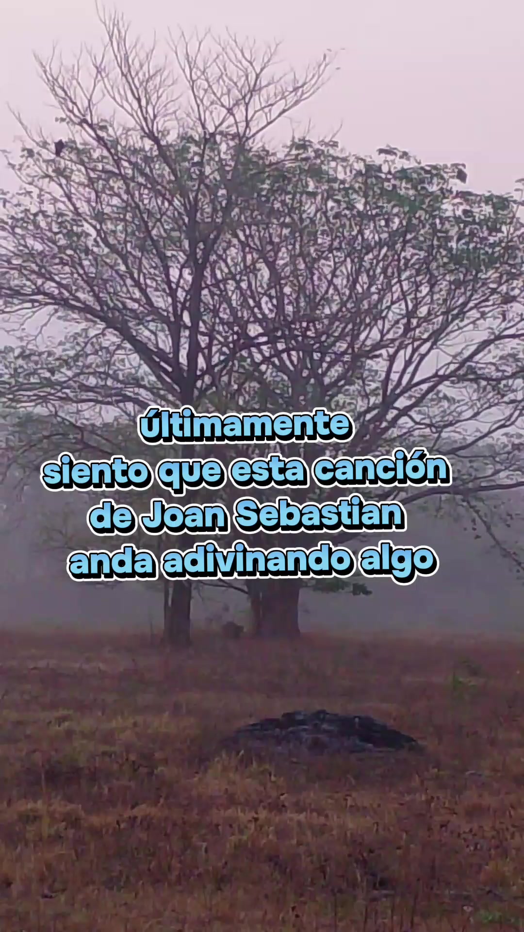 @Nina Reyna