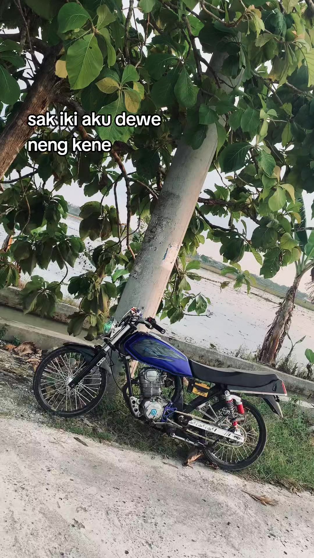 @APEPPP