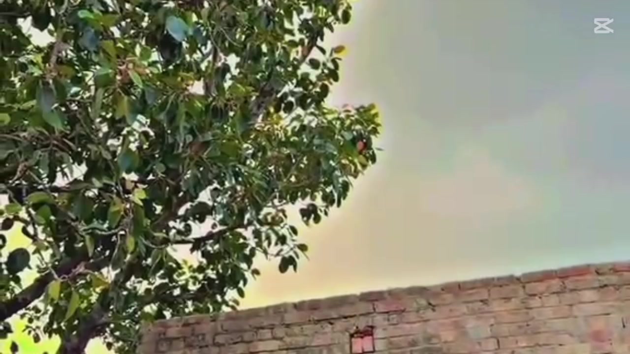 @(✅جٹ کہتے ہیں🚭)