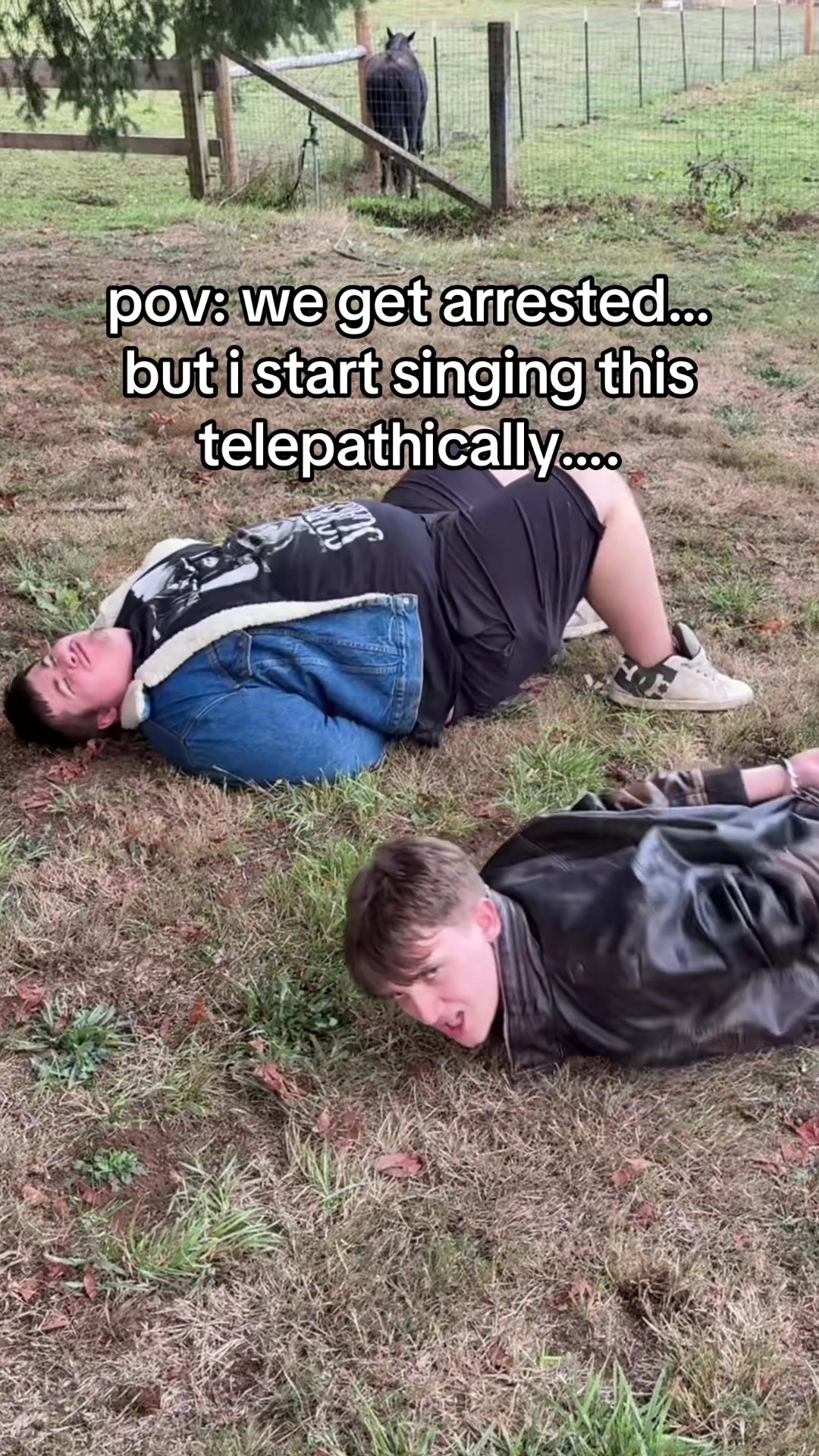 @wybielolll