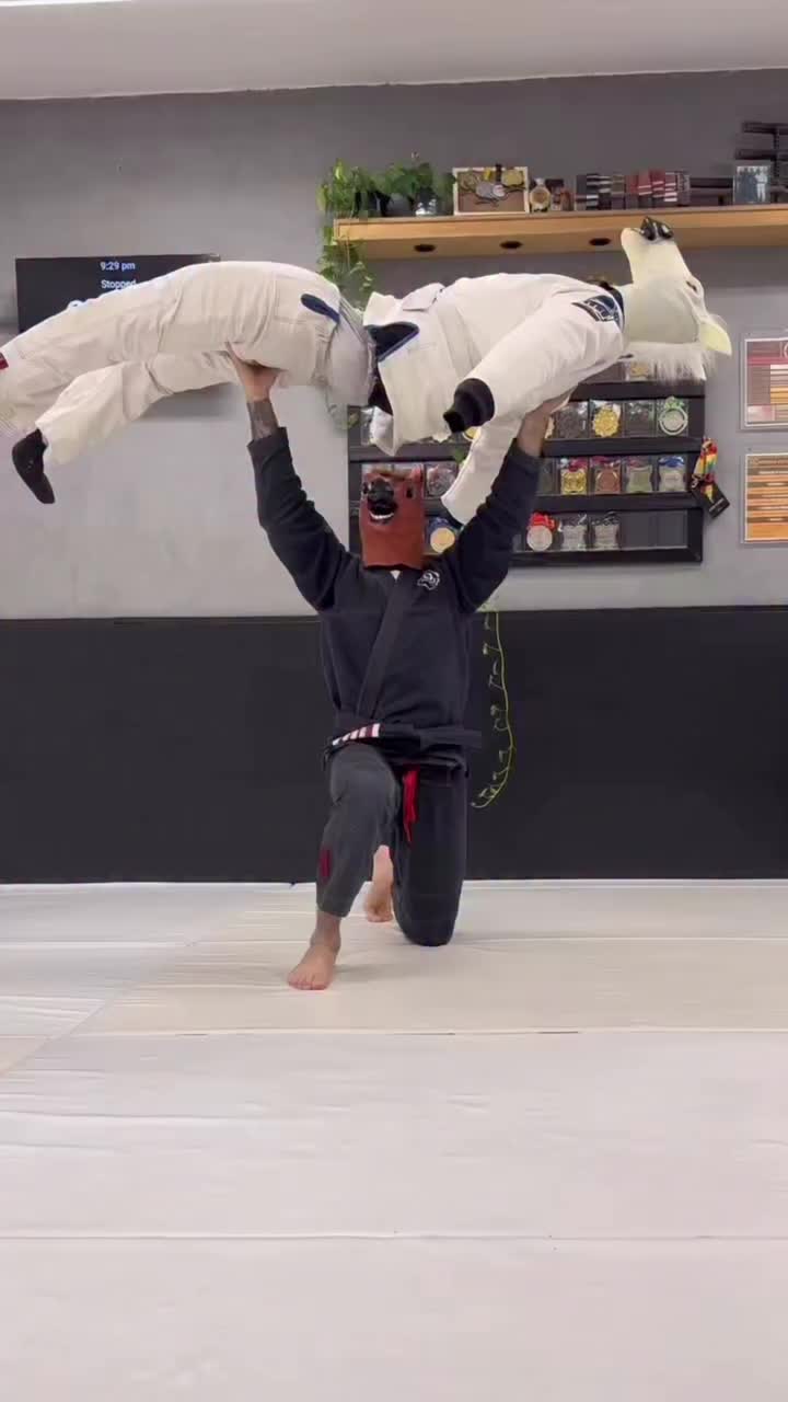 @bjj memes br