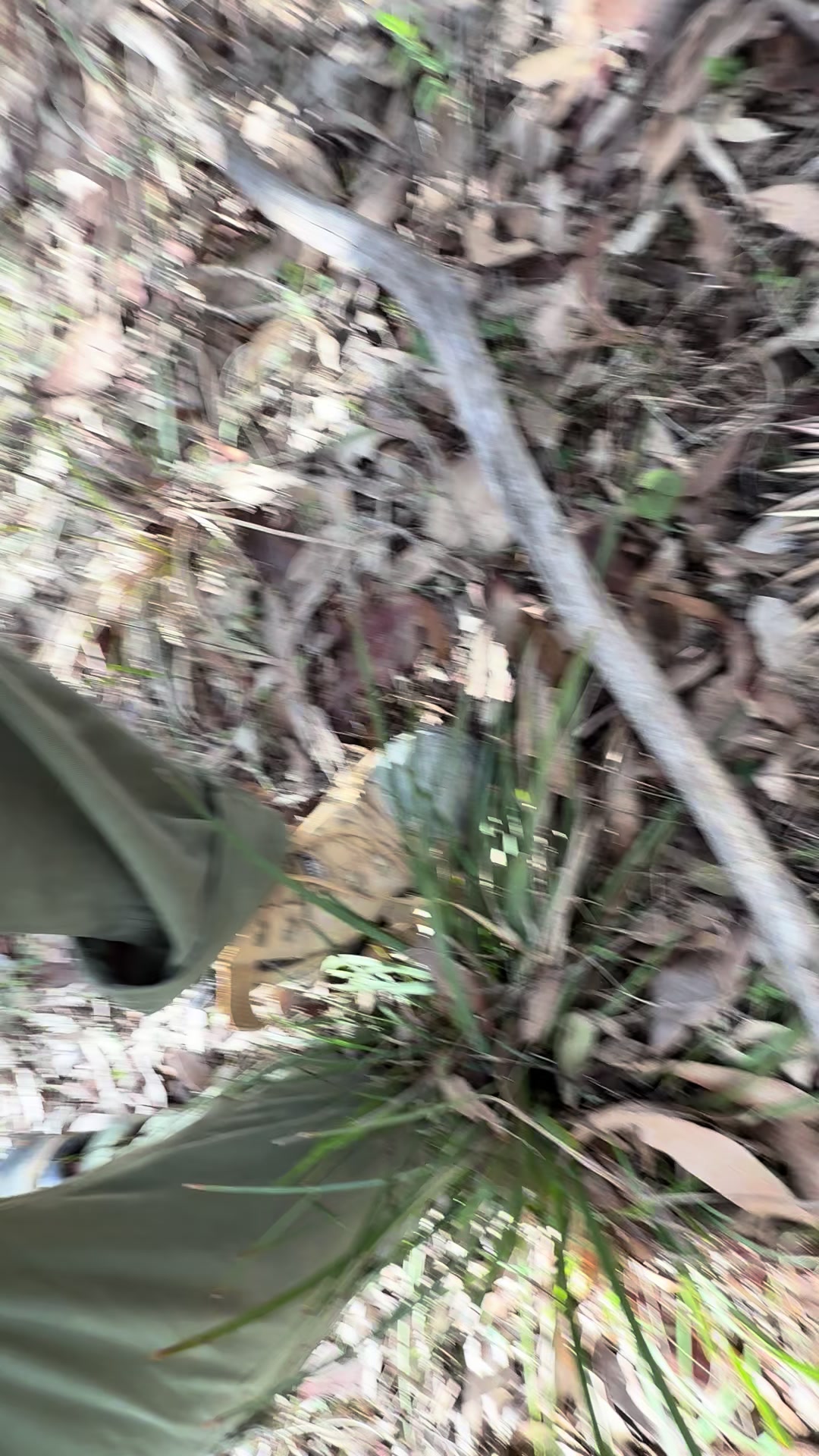 @cooperrisselnature