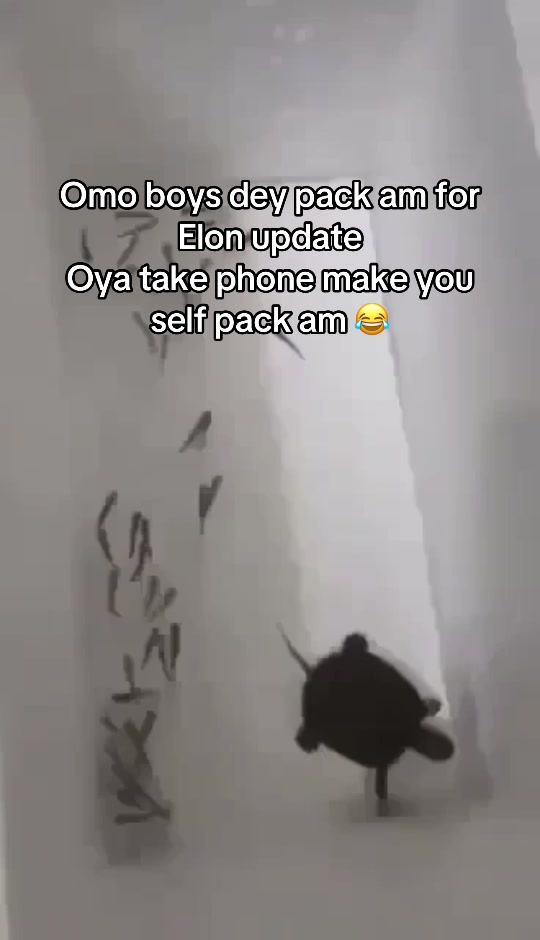 @Oga Ola