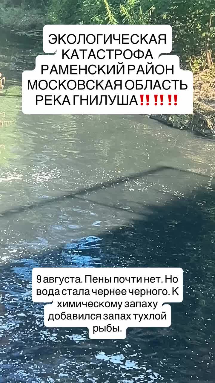 @irina_d_62