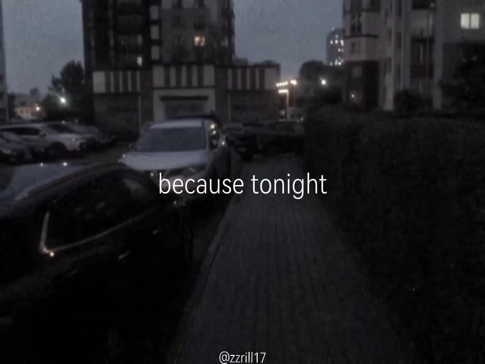 @zzrill17🐈&zwj;⬛