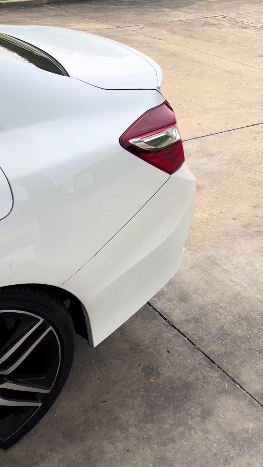 @Fly guy detailing