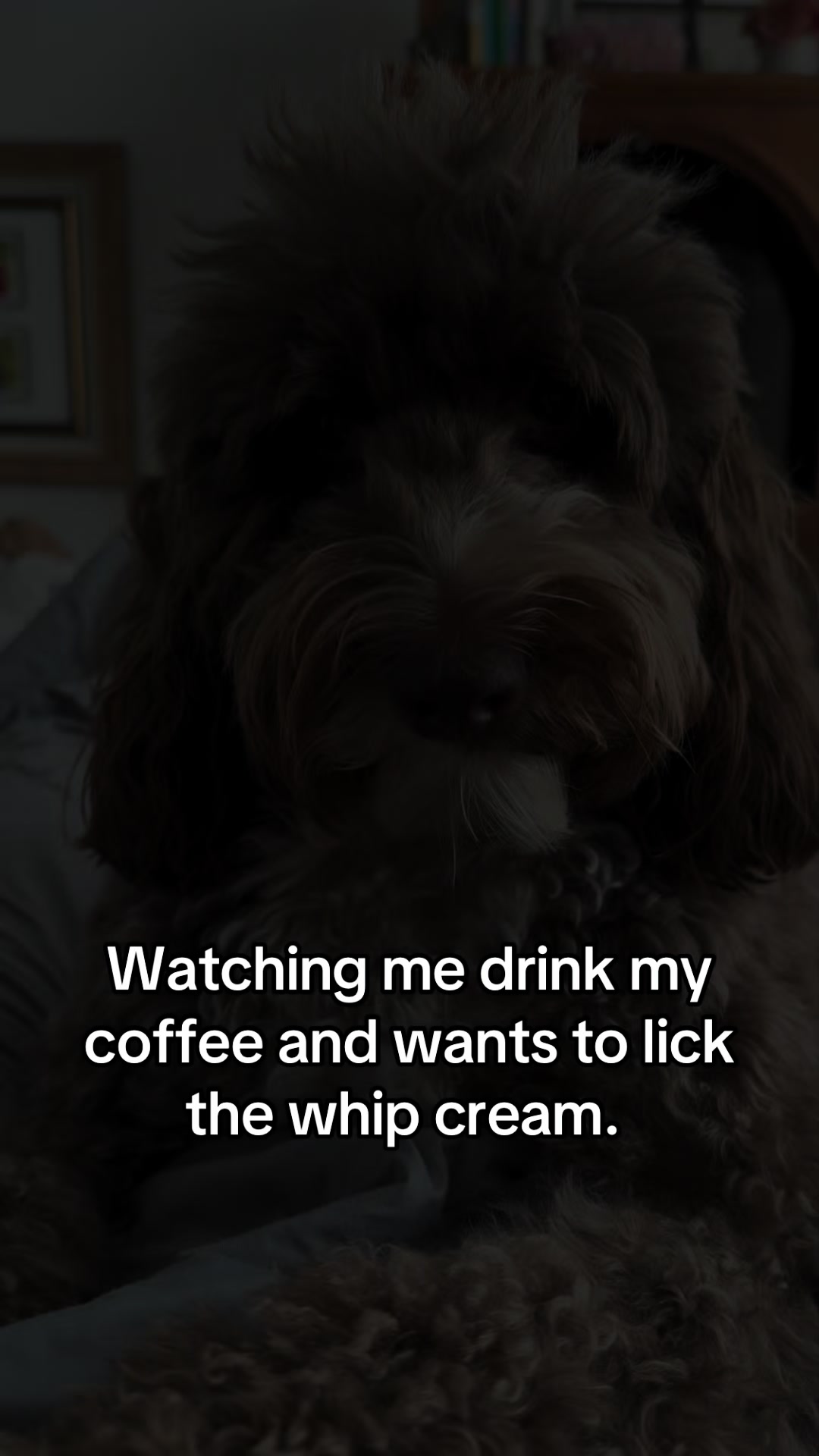 @Susie Michelle