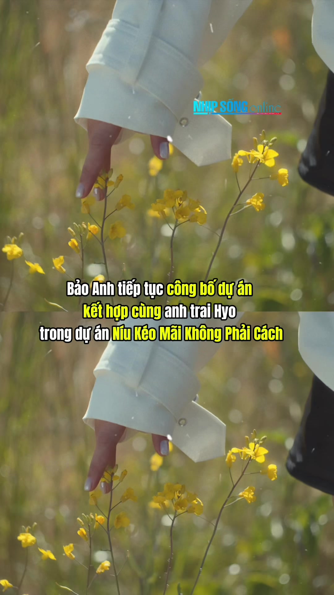 @Nhịp Sống Online