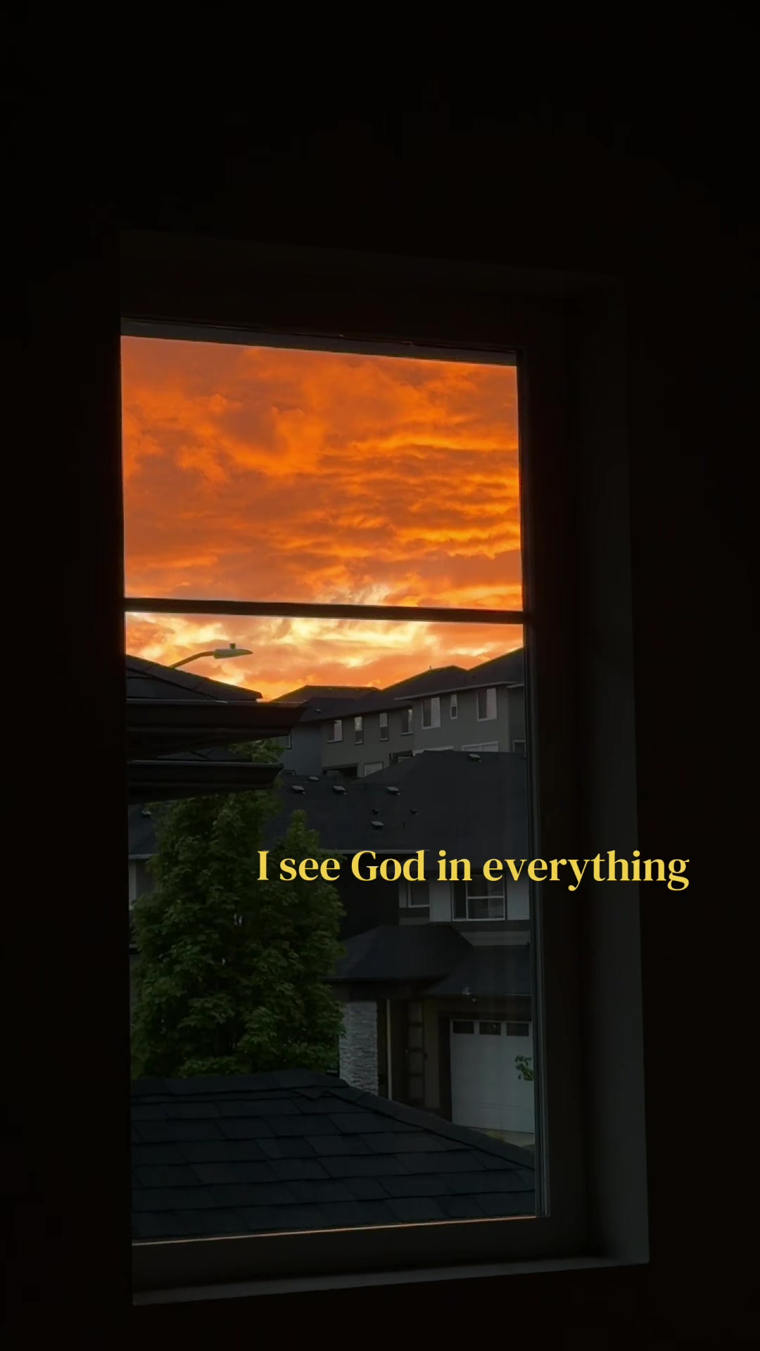 @san 🦥🫧🌅🪩
