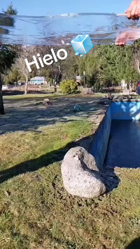 @Karina Toledo Vallejos