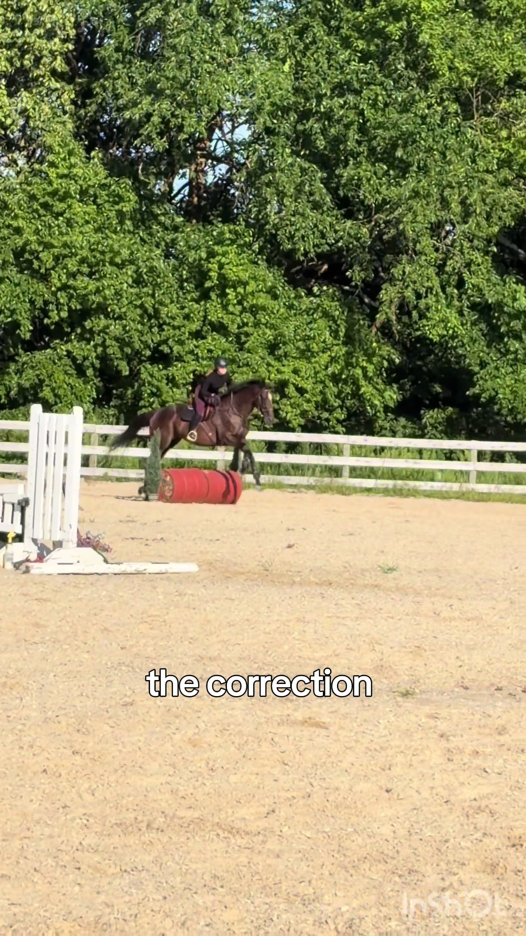 @Katie!🐴