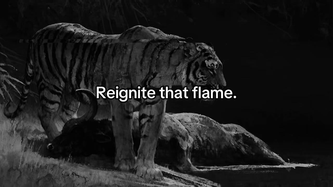 @RELENTLESS RISE