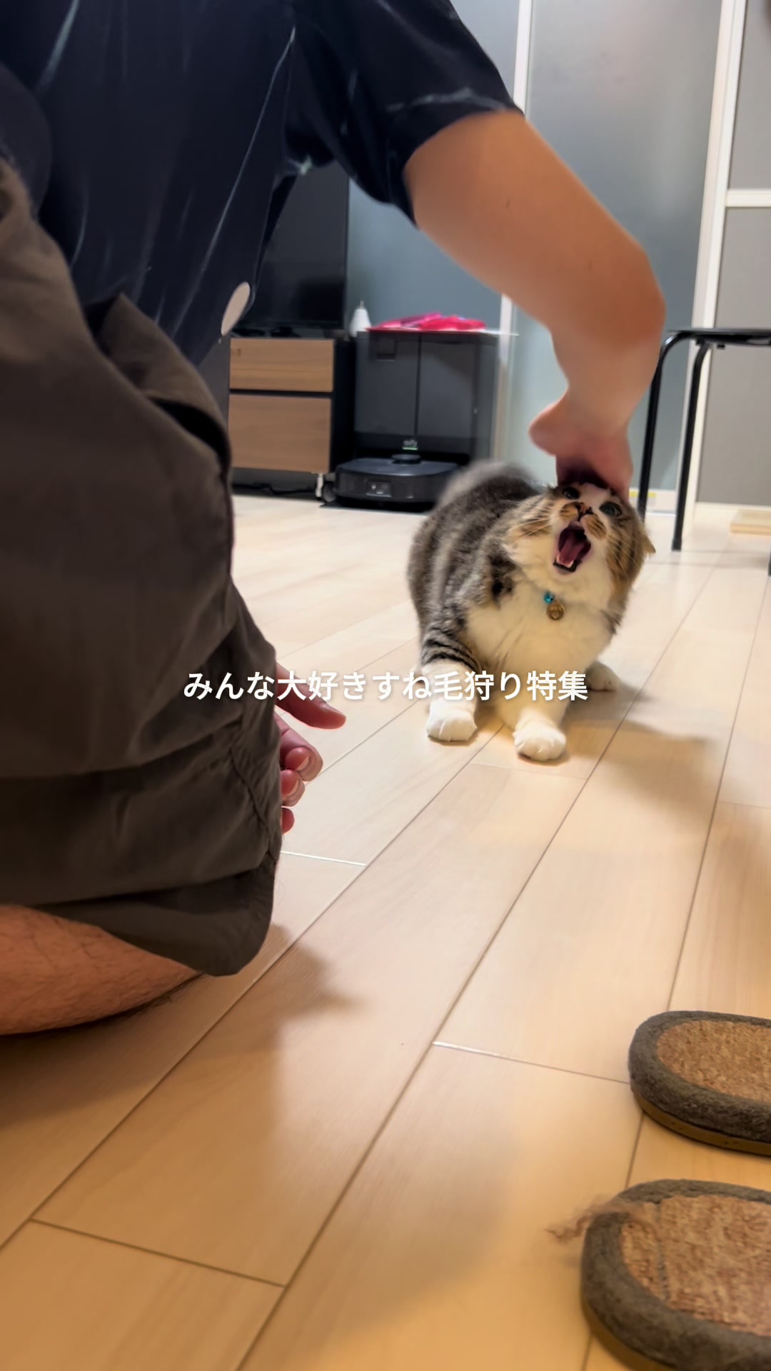 @ほたてくん