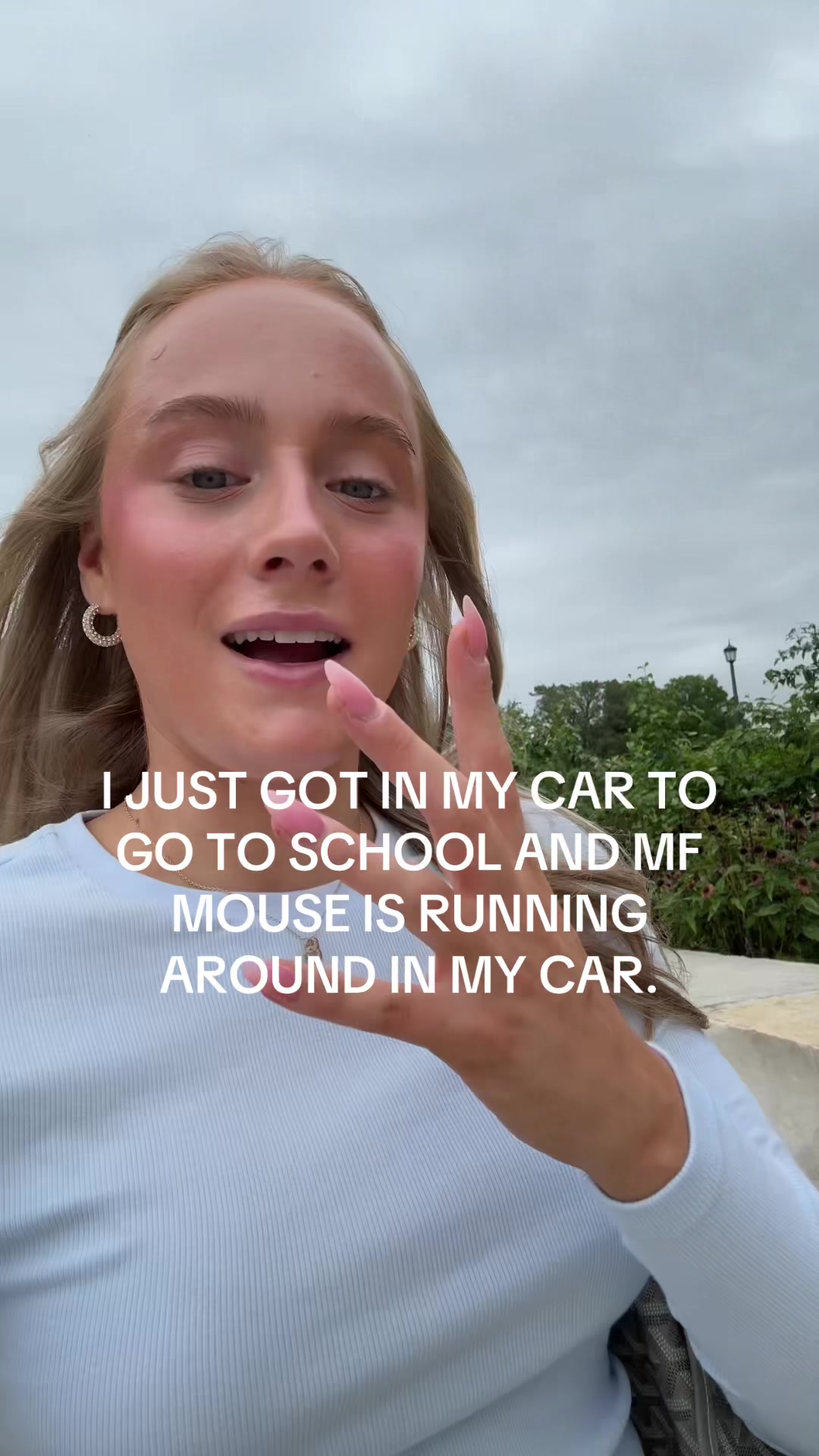 @Evelyn Bonaldo